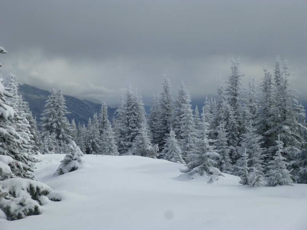 Early snow in Jasper National Park