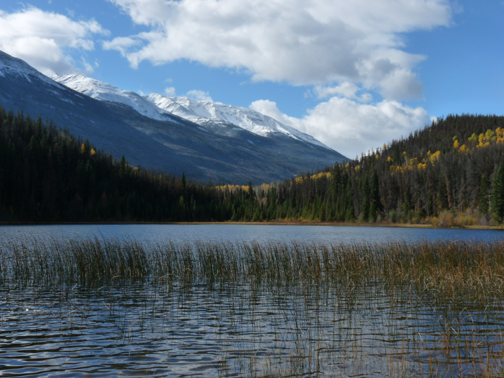 A lake in Jasper National Park